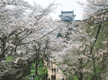 Tsuyama Castle Kakuzan Park